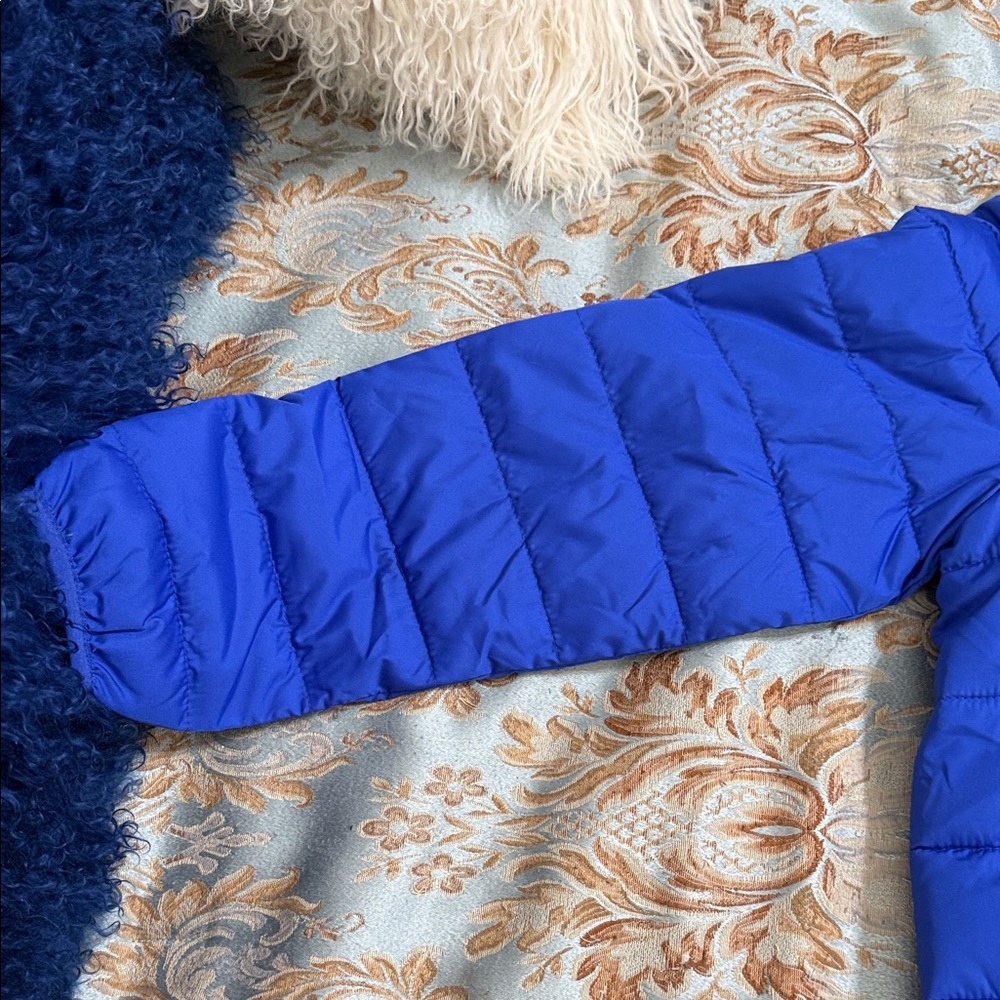 BNWT GAP Kids Vibrant Blue Puffer Jacket with Hood - Picture 6 of 12